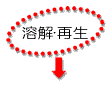 溶解・再生